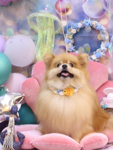 20240804梛都ちゃん